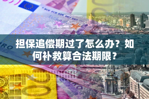 济南担保追偿期过了怎么办？如何补救算合法期限？