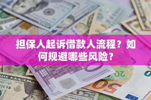 济南担保人起诉借款人流程？如何规避哪些风险？