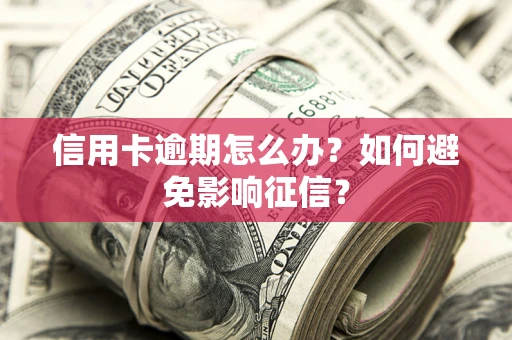 济南信用卡逾期怎么办？如何避免影响征信？